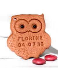 Biscuit « chouette »