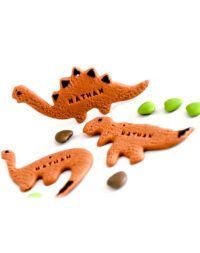 Biscuit « dinosaure »