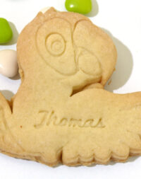 Biscuit sablé « perroquet » à personnaliser !