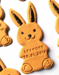 Biscuit « lapin »