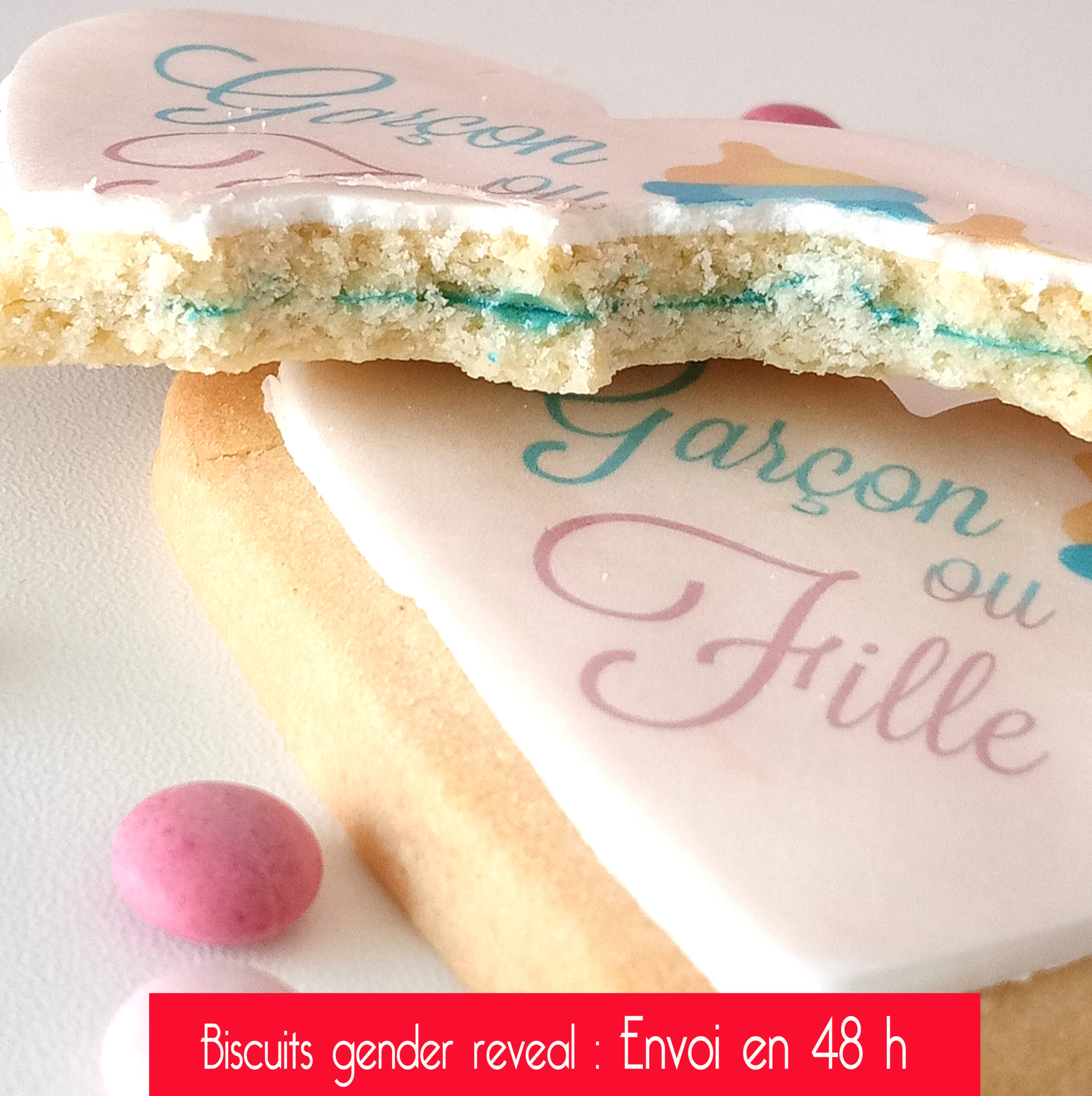 biscuit-pour-annoncer-reveler-sexe-bebe-fille-ou-garcon