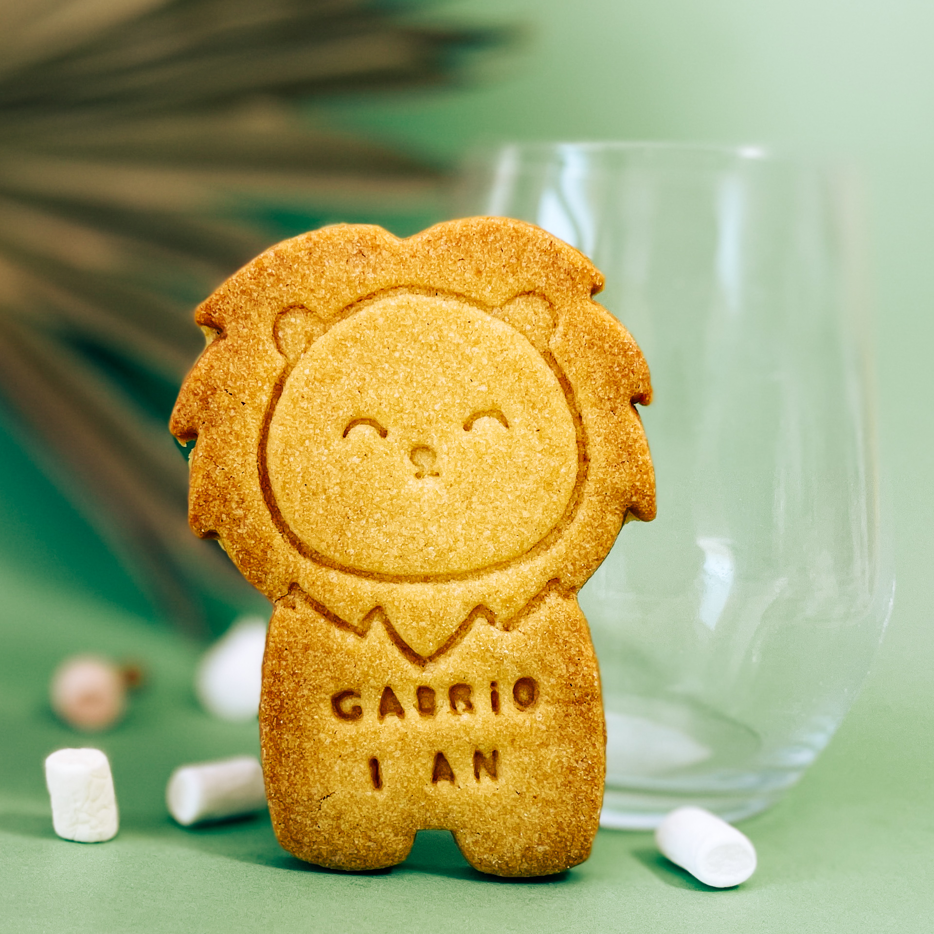 sable-biscuit-lion-personnalise-theme-animaux-de-savane-nature