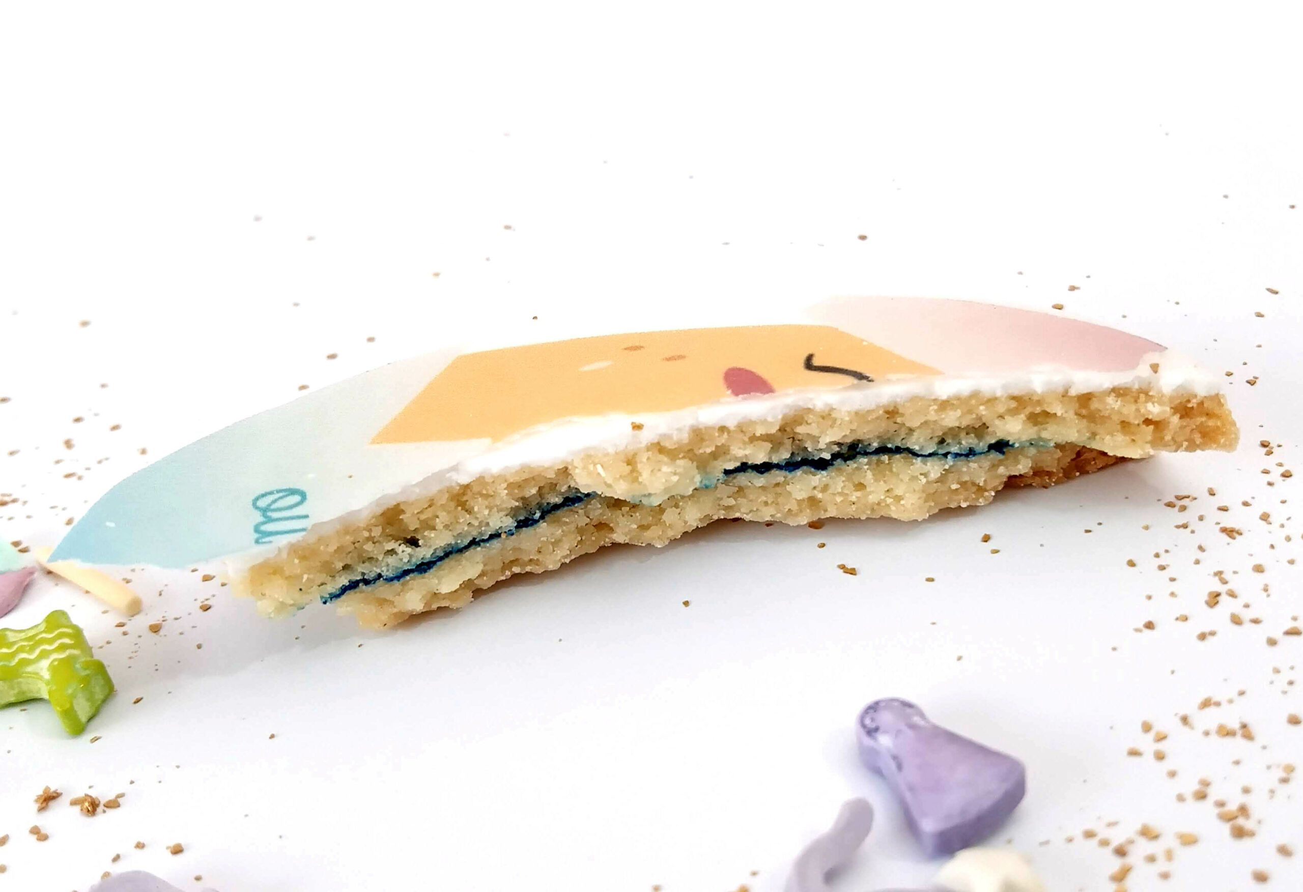 biscuit-gender-reveal-fille-garcon-reveler-secret-famille