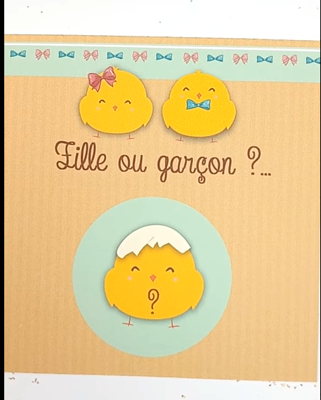 carte-postal-poussin-fille-ou-garcon