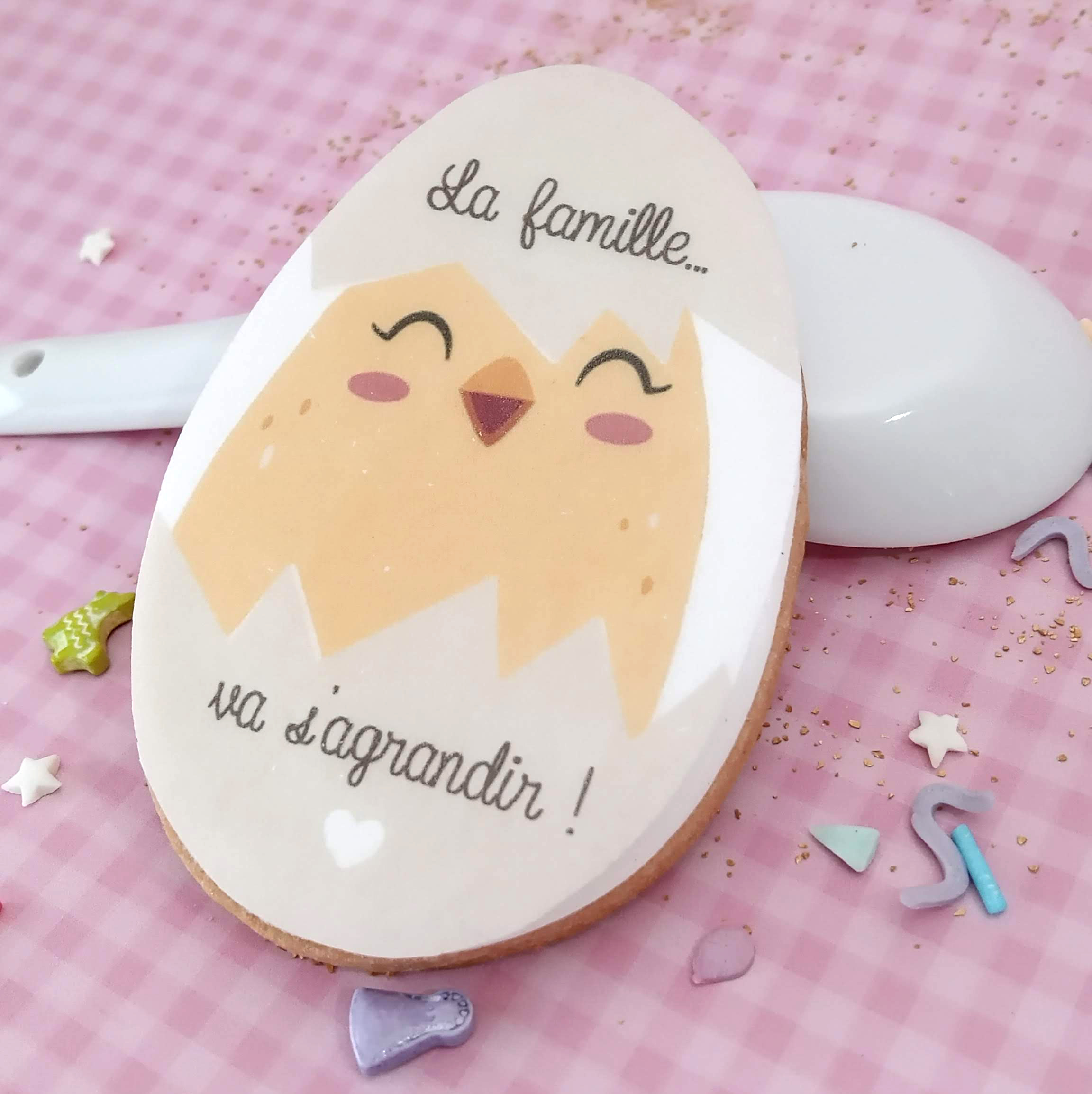 idee-biscuit-annonce-grossesse-famille-poussin-gourmand-famille-entourage