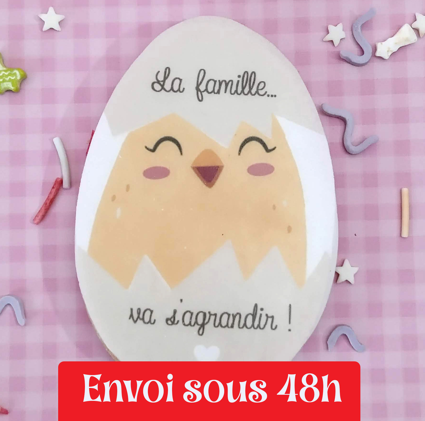 biscuit-annonce-grossesse-famille-poussin-gourmand-famille-entourage copie